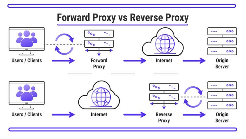  Forward Proxy and a Reverse Proxy