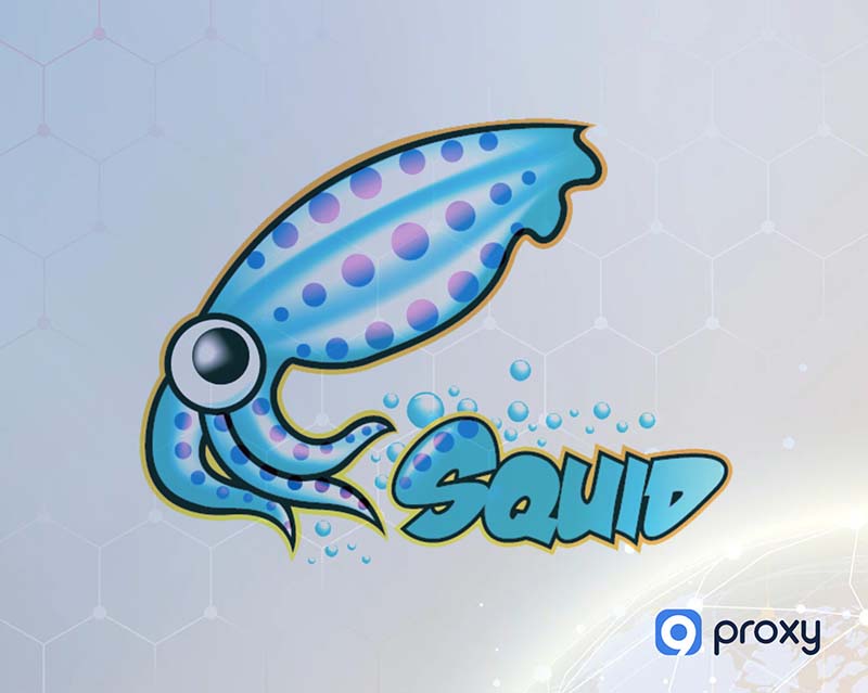 Squid Proxy Server