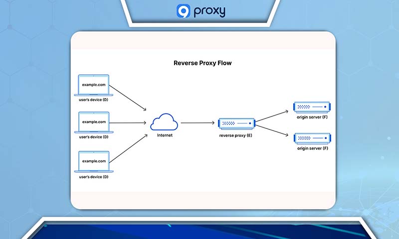 Reverse Proxy