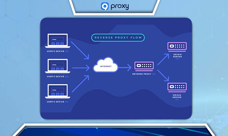 Reverse Proxy Work