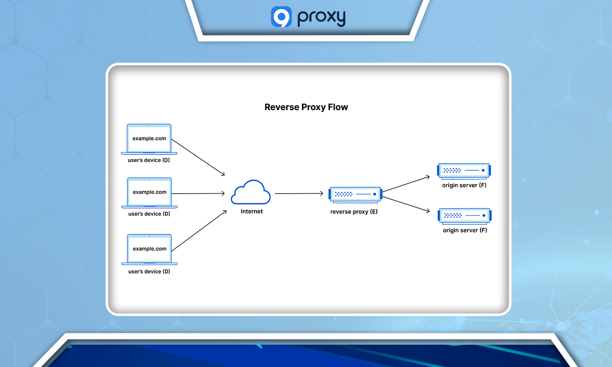 Reverse Proxy