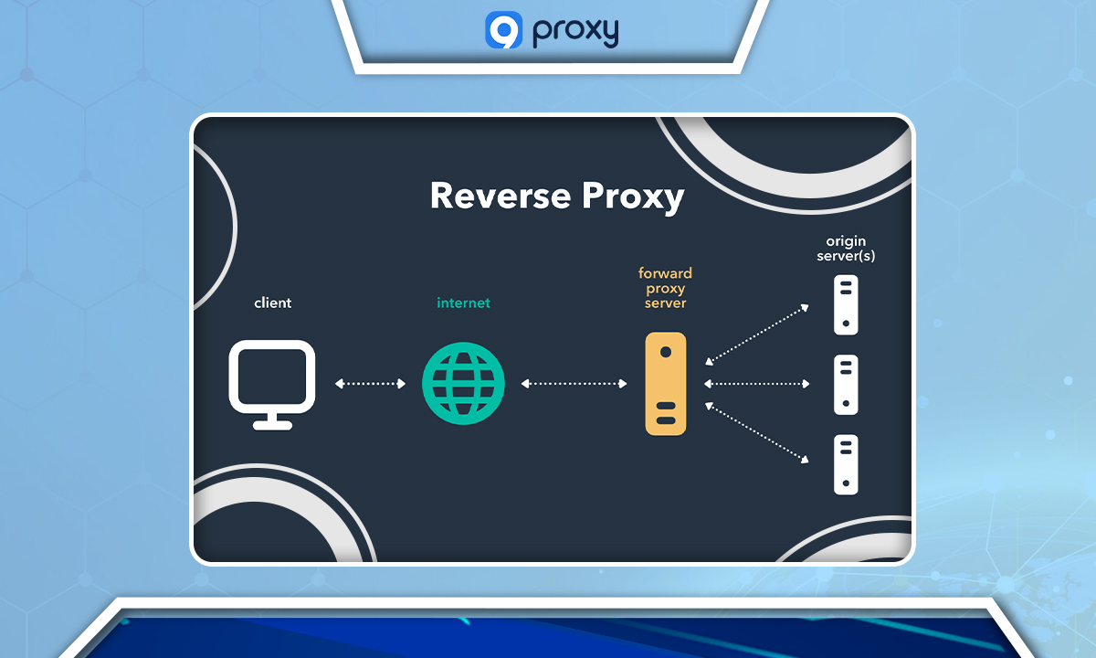 What Is a Reverse Proxy?