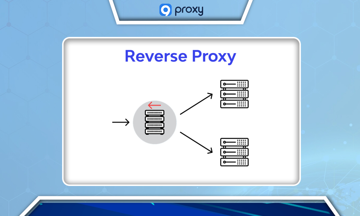 What Is Reverse Proxy