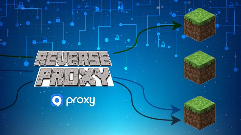 reverse proxy for minecraft server