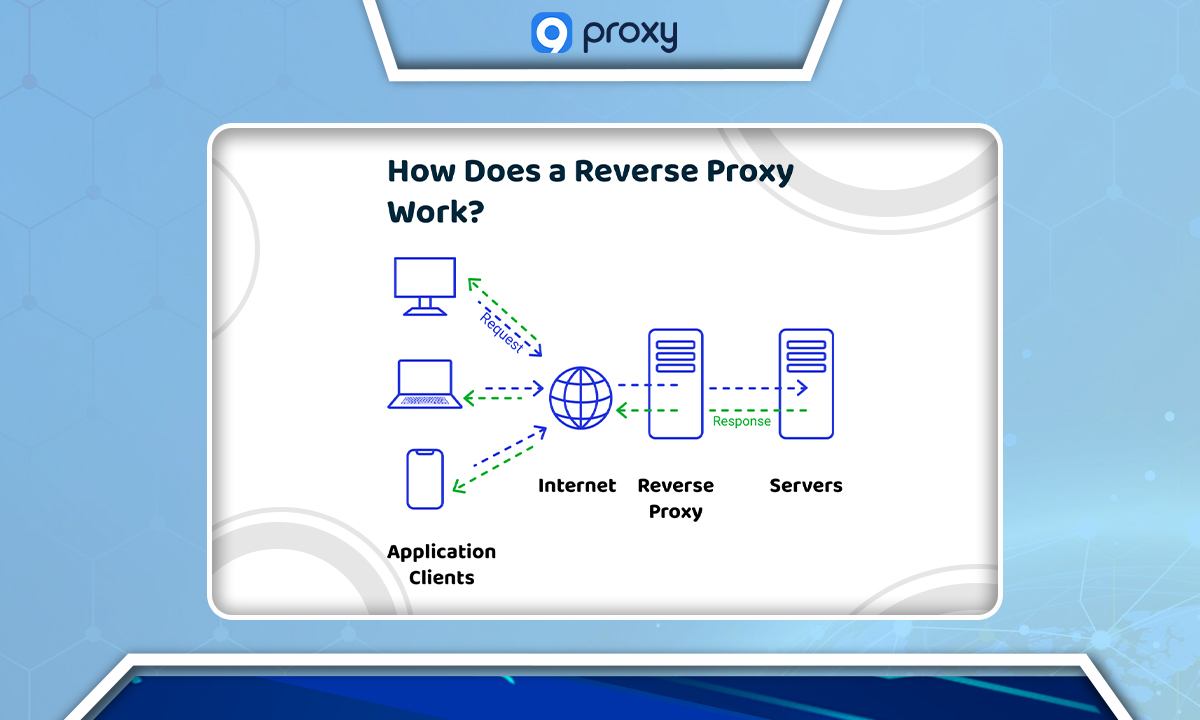 Reverse Proxy